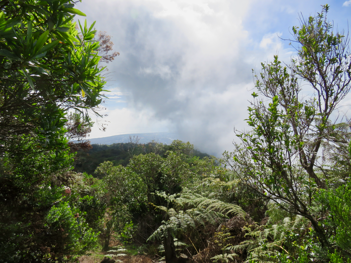 27 Sur le sentier de crête, vue sur Le Port