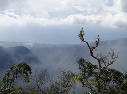 Depuis la crête