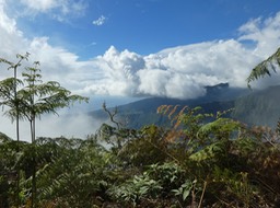 P1560979