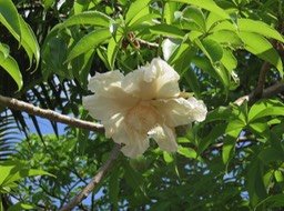 IMG_3323