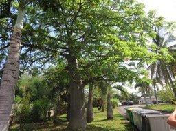 IMG_3324