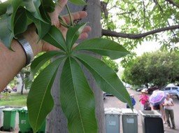 IMG_3325
