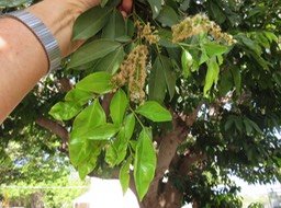 IMG_3328