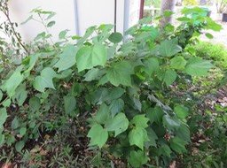 IMG_3330