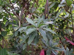 IMG_3336