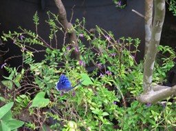 IMG_3341