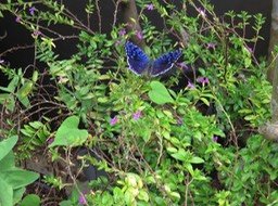 IMG_3343