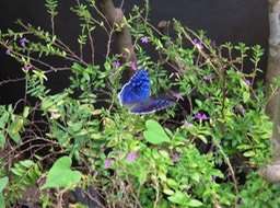 IMG_3345