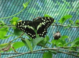 IMG_3353