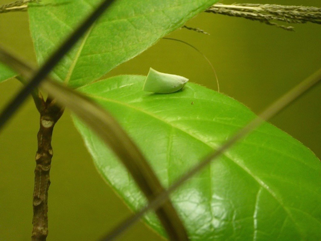 P1180428