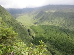 13 Vue sur la Vallée Heureuse