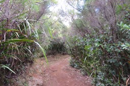 2 Sentier rejoignant le sentier longeant le haut du rempart surplombant la Vallée Heureuse