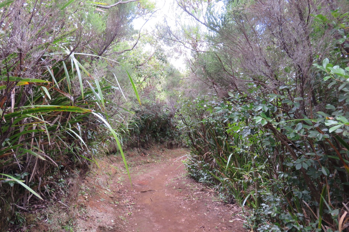 2 Sentier rejoignant le sentier longeant le haut du rempart surplombant la Vallée Heureuse