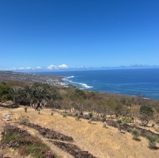 15. Vue du Jardin vers le sud (Saint-Leu).jpeg