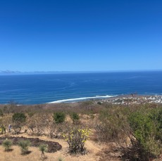 16. Vue vers l'ouest  - ??? Lotissement Pointe de sChâteaux.jpeg