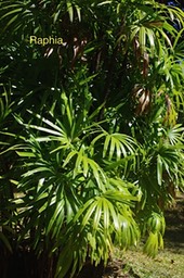 IMGP5864
