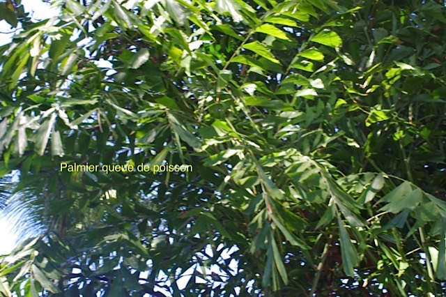 IMGP5873