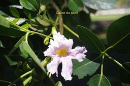 IMGP5893