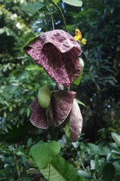 DSC03139