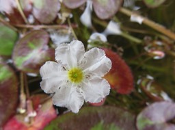 IMG_2905