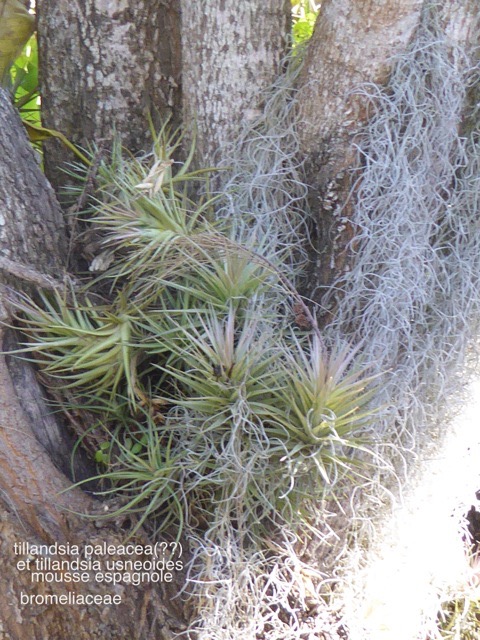 P1110813