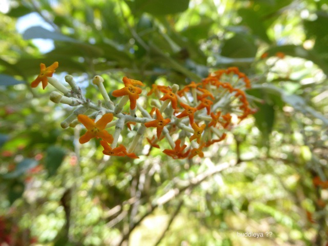 P1110822