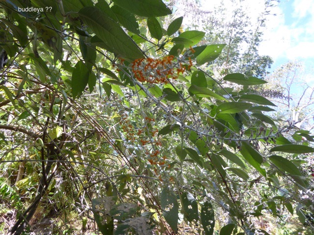 P1110825