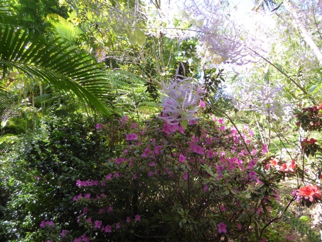 P1110830
