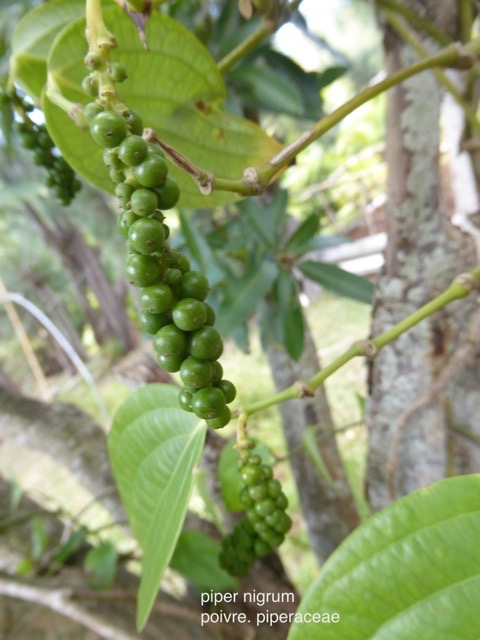 P1110890