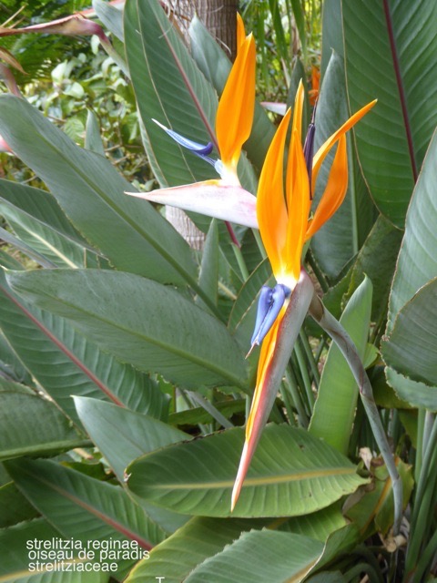 P1110916