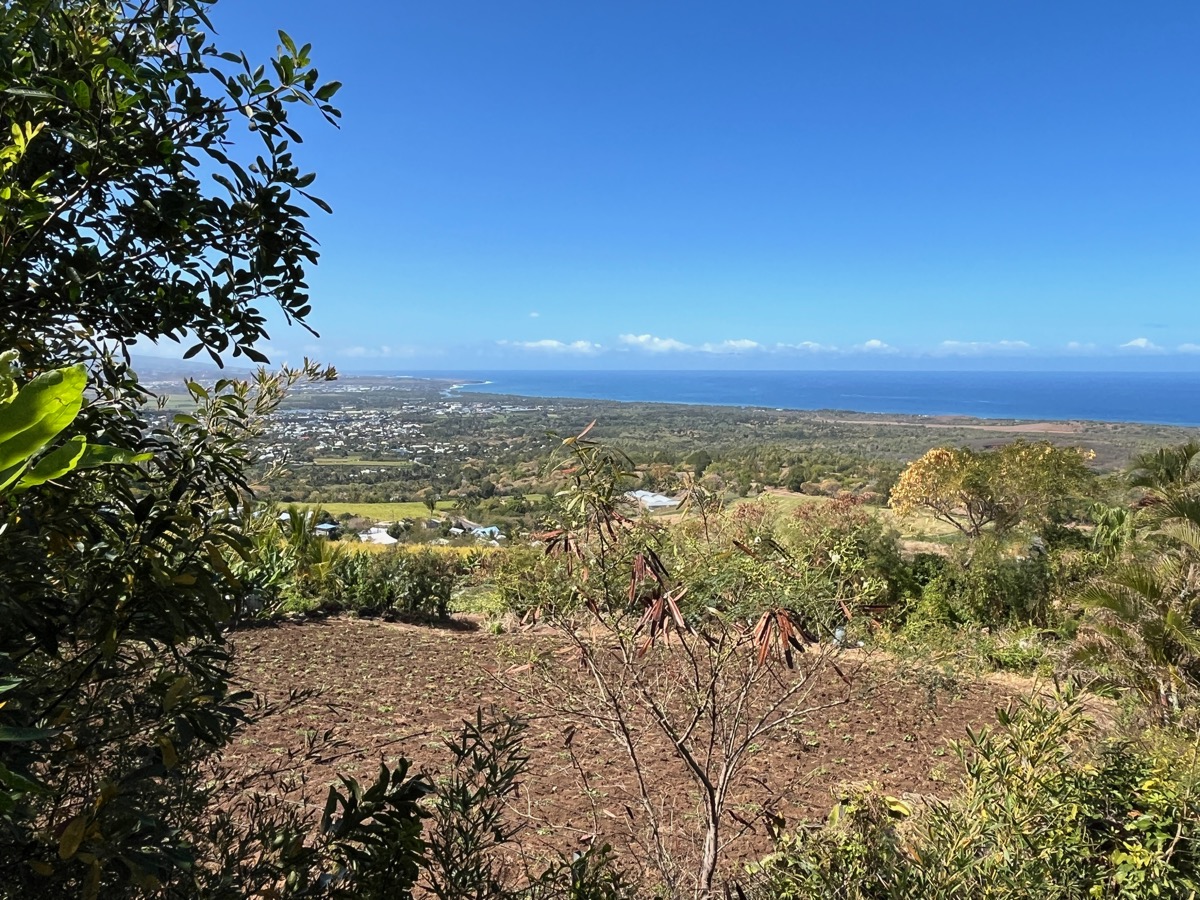 6. Vue sur la côte et la Forêt articifielle de l'Étang-Salé.jpeg