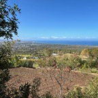 6. Vue sur la côte et la Forêt articifielle de l'Étang-Salé.jpeg