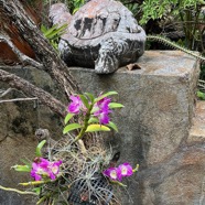 IMG_9718.jpeg