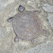IMG_9731.jpeg