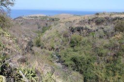 Ravine Saint Gilles-1