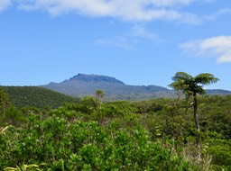 2. Vue sur le Piton des Neiges