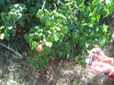 IMG_0211