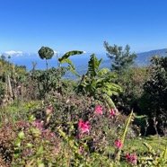 IMG_6831.jpeg