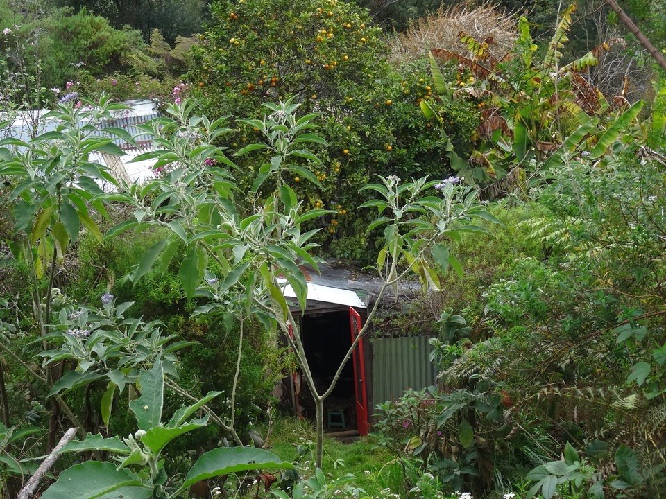 Boucan du gîte "La Bergerie"