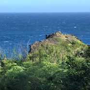 la pointe du Piton de Grande Anse IMG_9077.jpeg