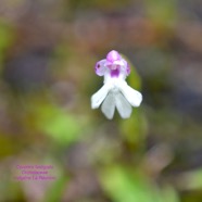 DSC_4788.jpeg