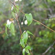 DSC_4794.jpeg