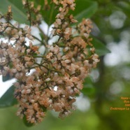 DSC_4798.jpeg