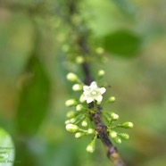 DSC_4803.jpeg
