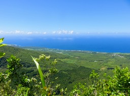 35 Vue sur la côte sud vers Saint-Philippe