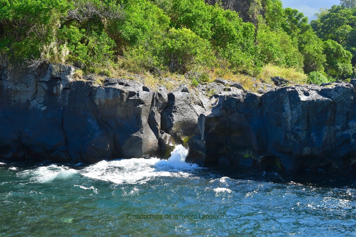 DSC_0528