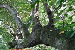 DSC_0541-1