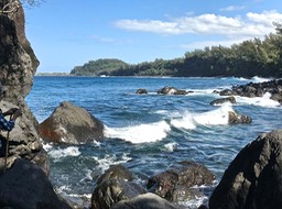 IMG_8699