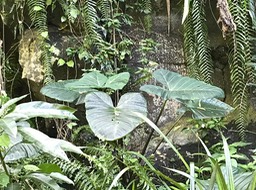 IMG_8705