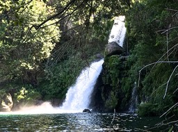 IMG_8741